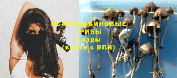 герыч Алзамай