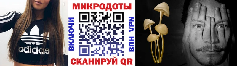 Галлюциногенные грибы GOLDEN TEACHER  купить наркотики сайты  Лахденпохья 